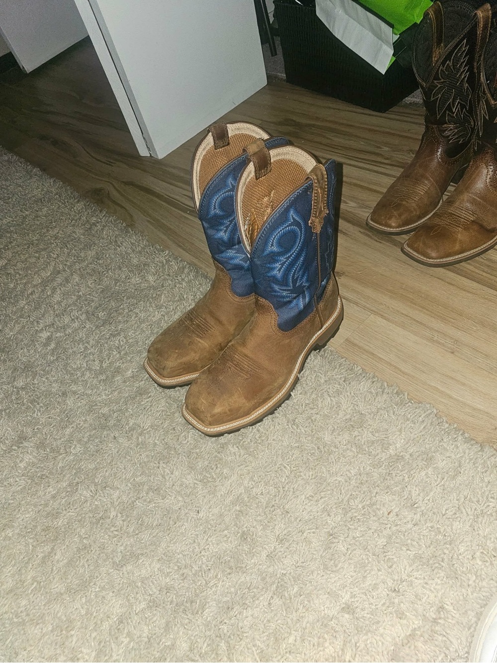 Ariat Boots for Men